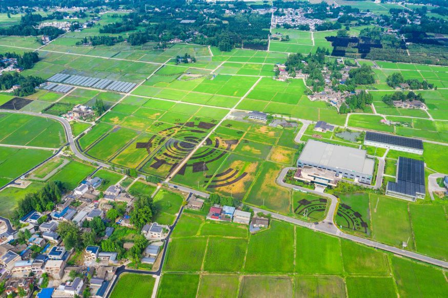 中化農村社會化服務西南總部基地。崇州市人民政府供圖