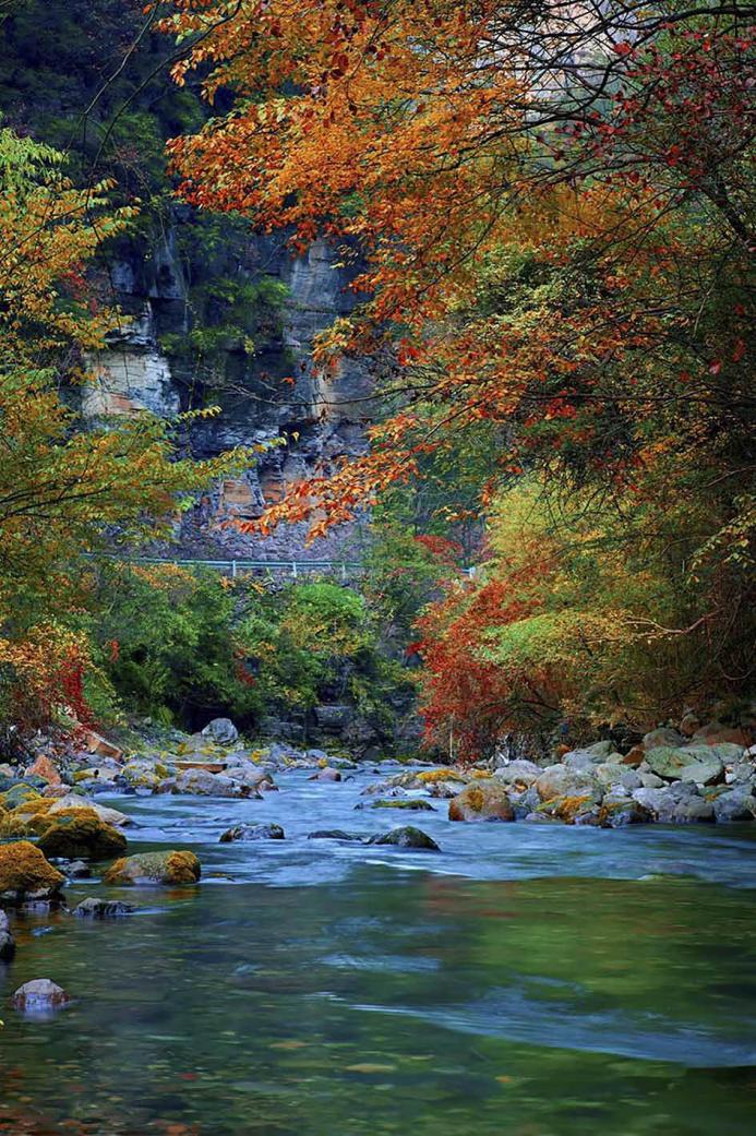 萬源魚泉山紅葉醉小溪。張軍攝