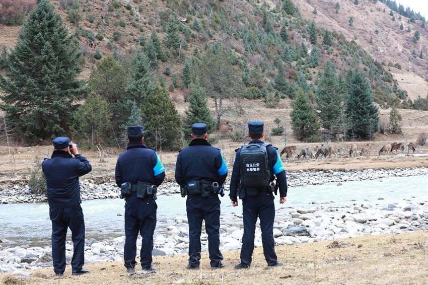 這般偶遇已是守望青山路上的尋常一景。白玉縣公安局供圖