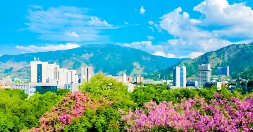 鮮花叢中的縣城。米易縣融媒體中心供圖