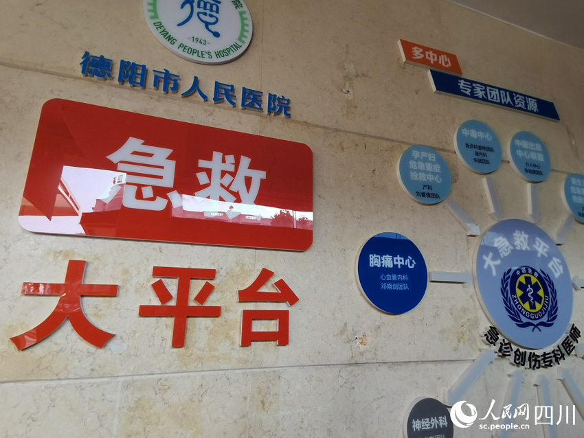 大急救平臺結構示意圖。人民網記者 劉海天攝