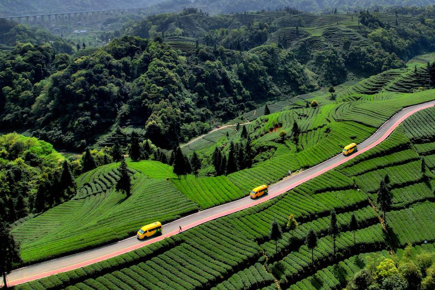 “金通工程”鄉村運輸客運巴士穿行田間。四川省交通運輸廳供圖