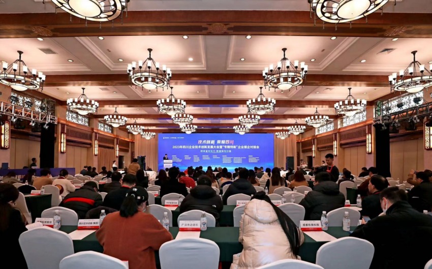 會議現場。主辦方供圖