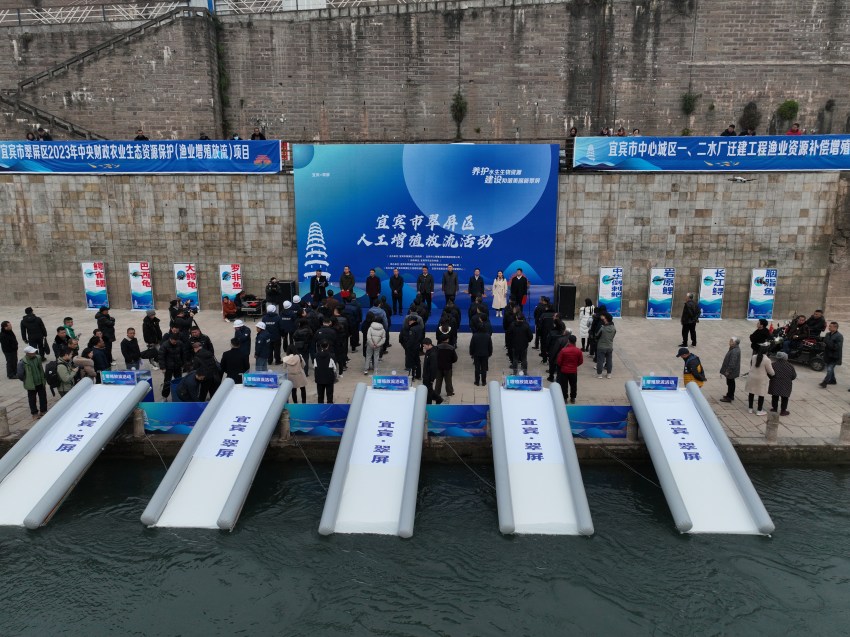 放流現場。宜賓市廣播電視臺供圖