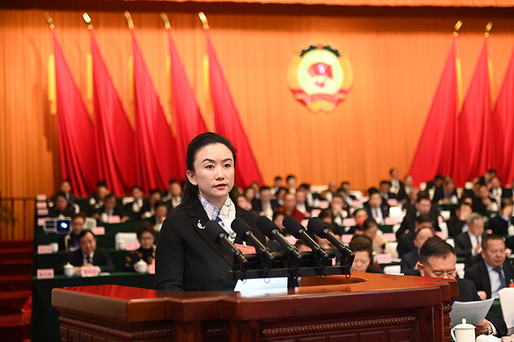 王正委員代表民盟四川省委會發言。民盟四川省委會供圖