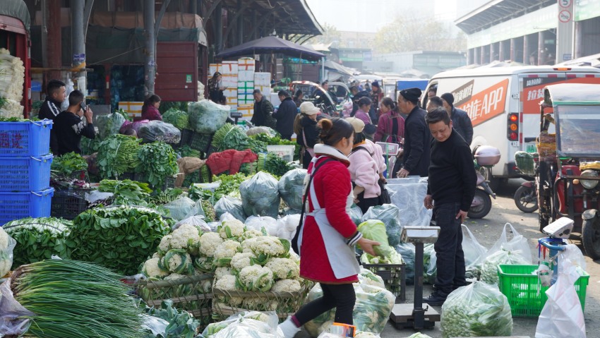 成都海吉星市場未受雨雪天氣影響。成都海吉星市場供圖