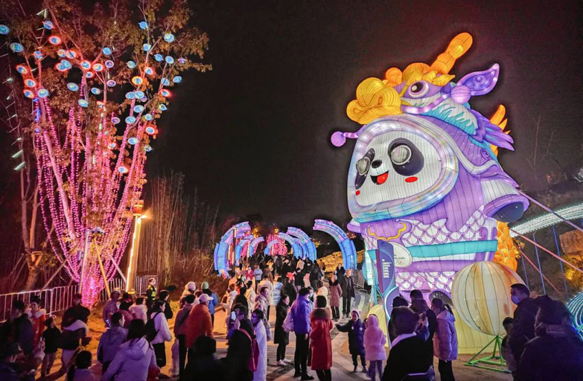 人人心里愛熊貓。龍泉驛融媒體中心供圖