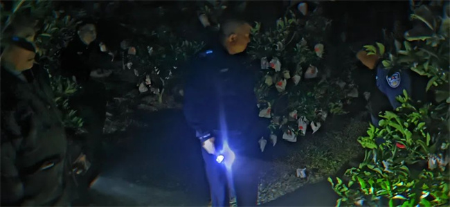 派出所民警正在連夜尋找老人。圖片來源：資陽市公安局雁江區分局