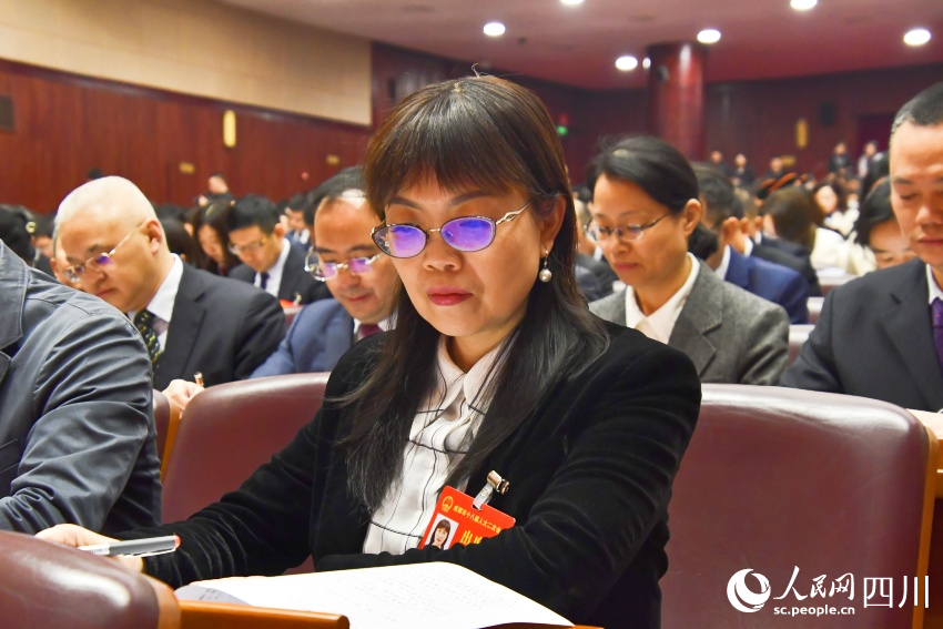 會議現場。人民網記者 王洪江攝