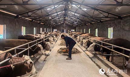    東西部協作見實效 “三河?！背蔀椤爸赂慌！?#13;      趙明明說，會進一步發揮協作資金的作用，把300萬元“雁陣工程”啟動資金通過“發放-回收-發放”的模式，每3年一個周期循環滾動使用，讓啟動資金成為“三河?！钡陌l展基金；同時，積極發揮甬涼“兩地倉”物流優勢，與余姚定屠中心等龍頭企業簽訂保底收購合同，幫助拓展東部市場，打造鄉村振興東西部協作的“三河?！逼放??！驹敿殹?   