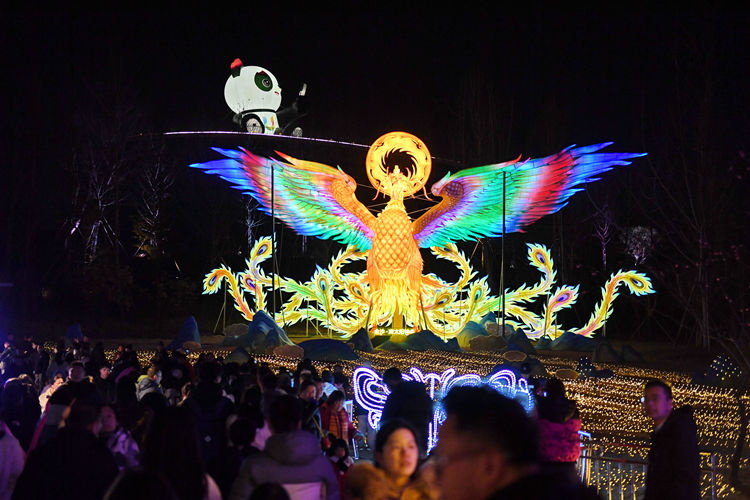 游人觀看燈會。主辦方供圖