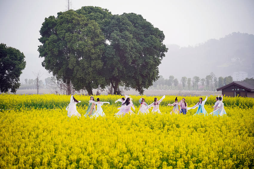 漢服愛好者在四川省眉山市彭山區“五湖四?！睗竦毓珗@綠道打卡游玩。翁光建攝