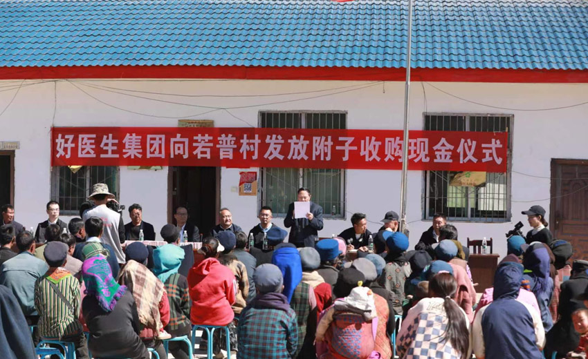 發放附子收購現金儀式。受訪者供圖