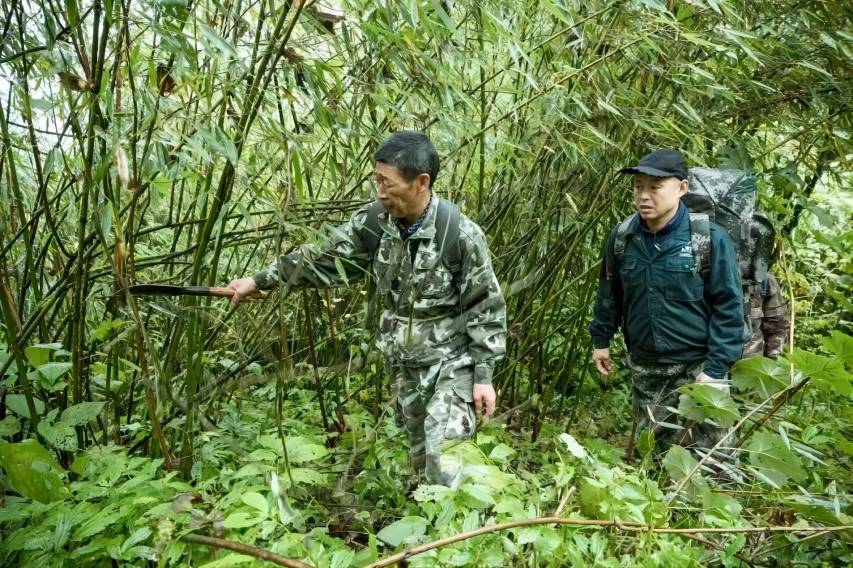 護林員正在開展巡護工作。成都市公園城市局供圖