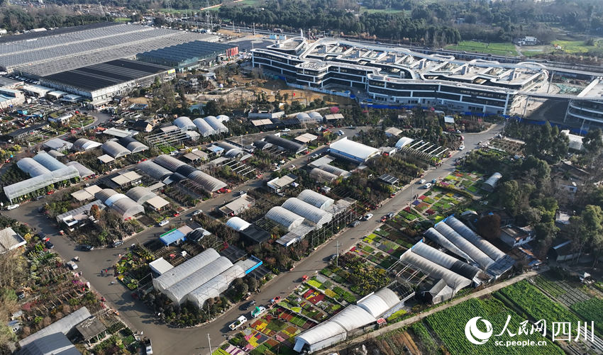 俯瞰春天花樂園國際花卉產業園。胡倩瑩攝