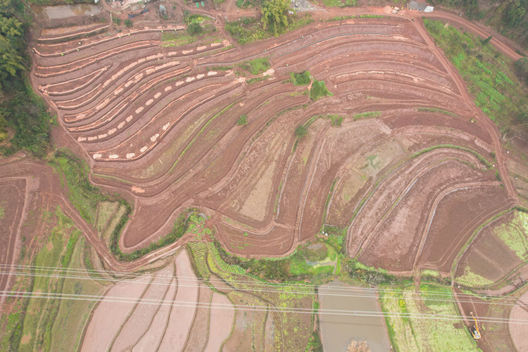 高標準農田。敘州區融媒體中心供圖