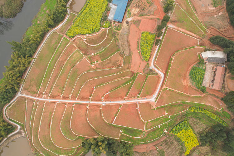 敘州區農村一角。敘州區融媒體中心供圖