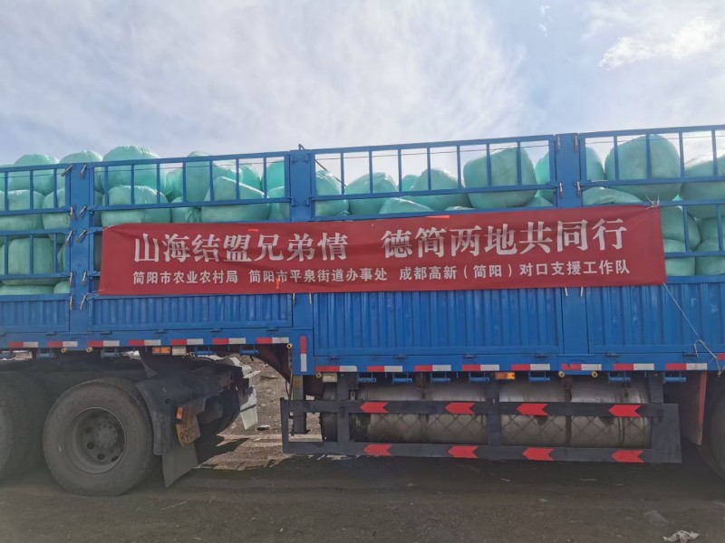 20噸青儲全價動物飼料。蔣春林攝