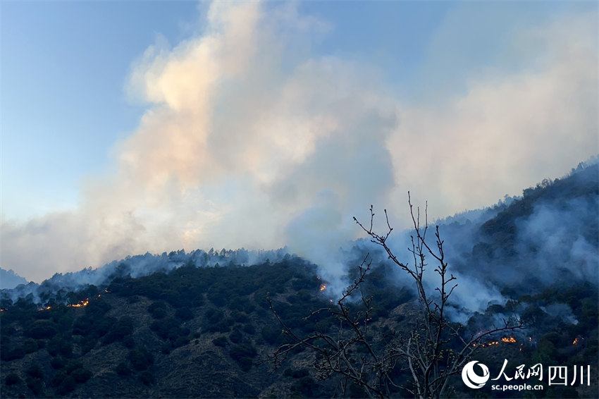 山上仍有明火。人民網記者 朱虹攝