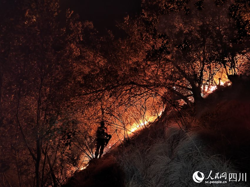 四川省森林消防總隊涼山州支隊森林消防員正在全力撲救山火。樊文淵攝