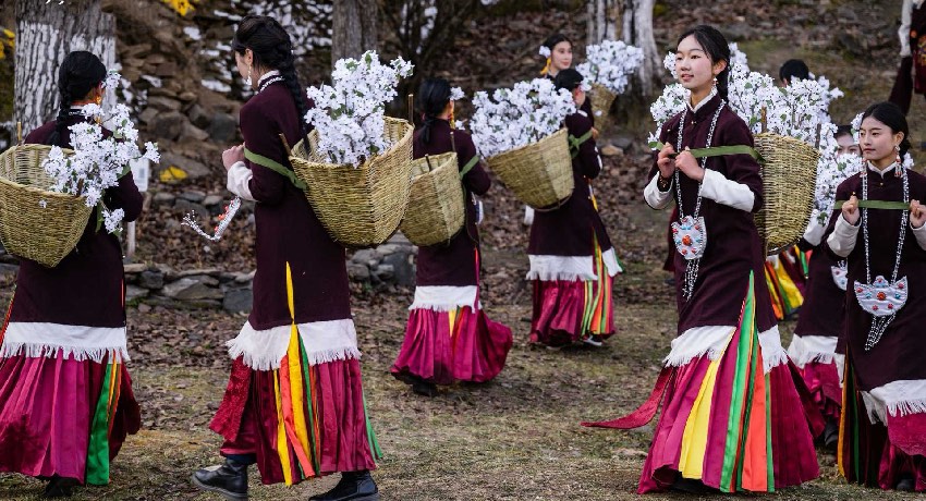 2024美人谷·丹巴梨花春賞季活動現場。何曦攝