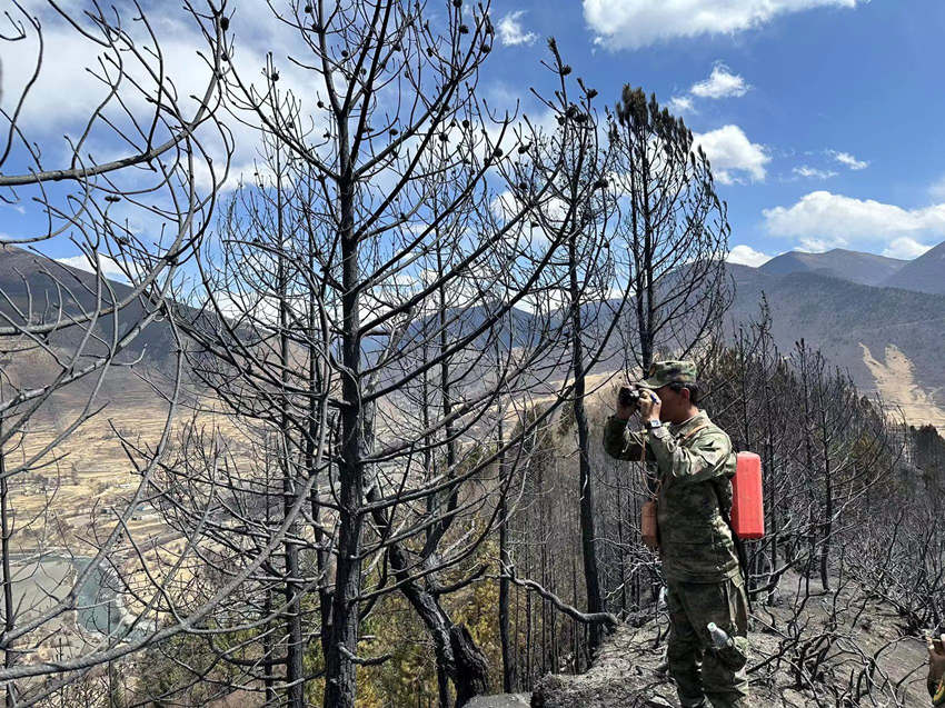 民兵正在火場觀察火情。解必彥攝