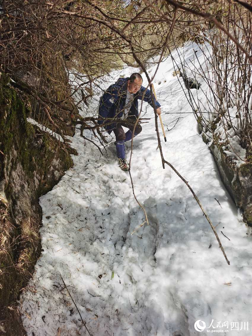 大白包區域巡護。楊貴平攝