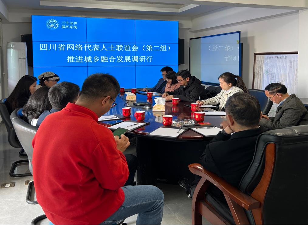 座談會。四川省網聯會供圖