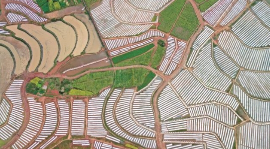 航拍前鋒區觀塘鎮仁和村。