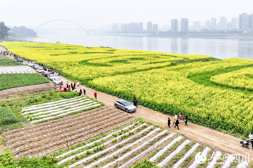 水清岸綠，游人如織。李貴平攝