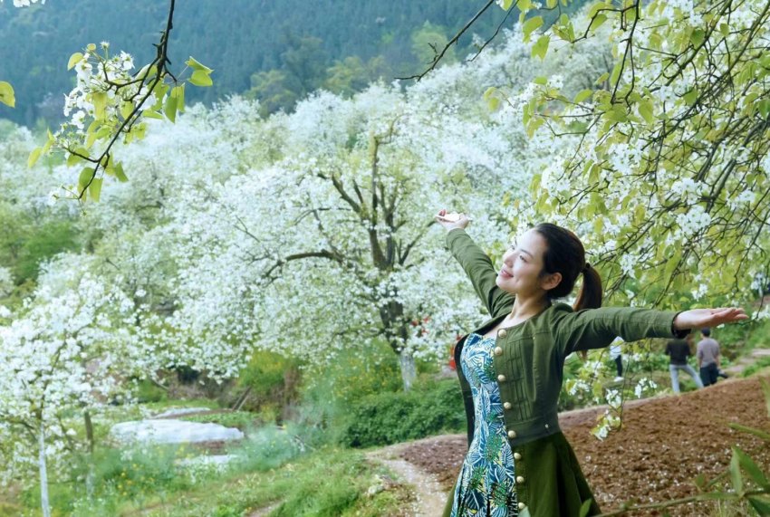 賞花的游客。梁喬攝