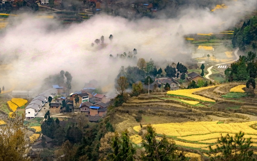 清晨，被油菜花圍繞的鄉村。唐朝貴攝