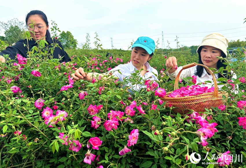 手握生活走向前。人民網記者 劉海天攝