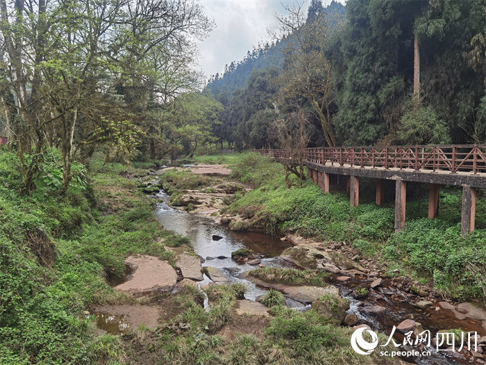 天臺山旅游景區。人民網記者 朱虹攝