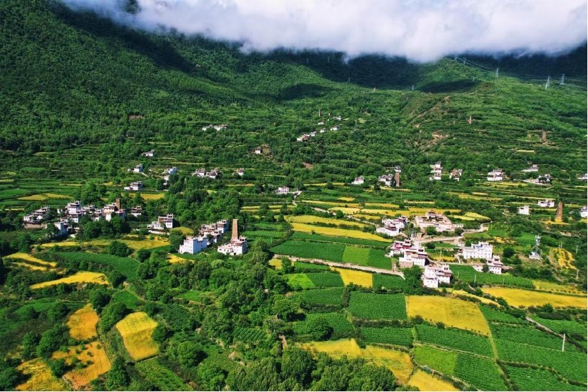 綠色丹巴。丹巴縣委宣傳部供圖