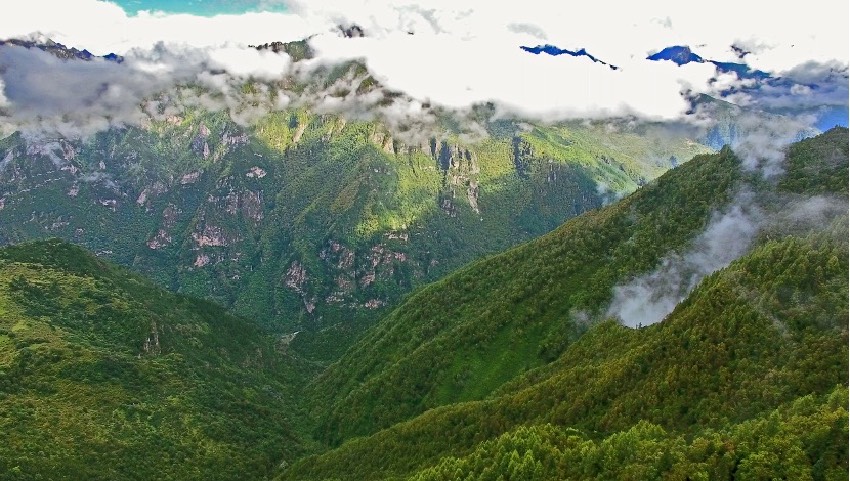 丹巴縣牦牛谷省級森林公園風光。丹巴縣委宣傳部供圖