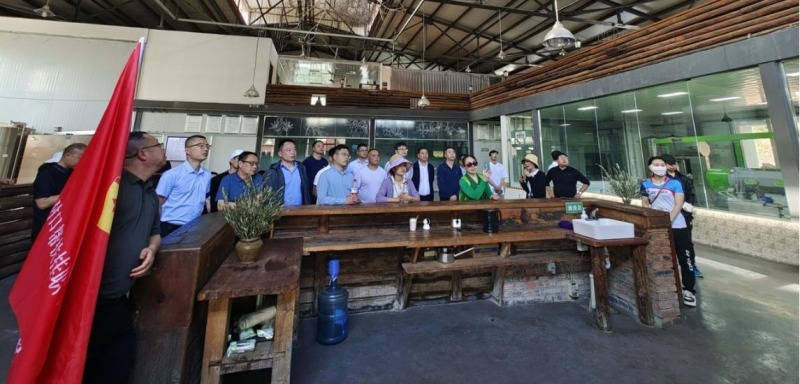 調研中澤油橄欖科技產業園。宜賓市結對幫扶南江縣工作隊供圖