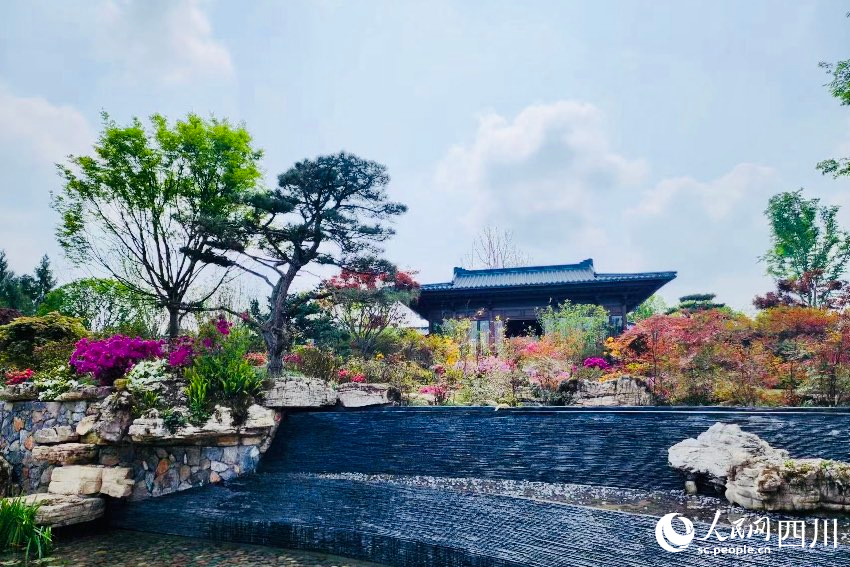 世園會現場。人民網記者 朱虹攝