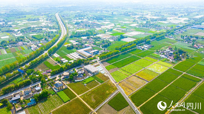 都江堰灌區。劉釗攝