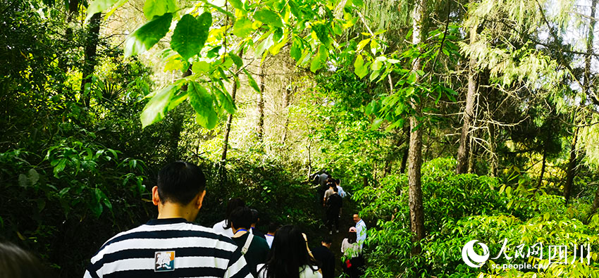 專家學者行于米倉古道。實習生歐陽古月攝