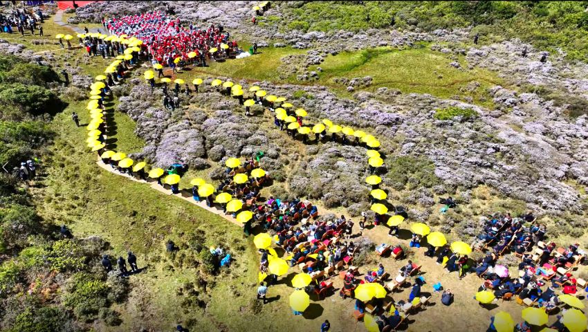 2024清涼涼山·昭覺索瑪花季開幕式現場。昭覺縣融媒體中心供圖