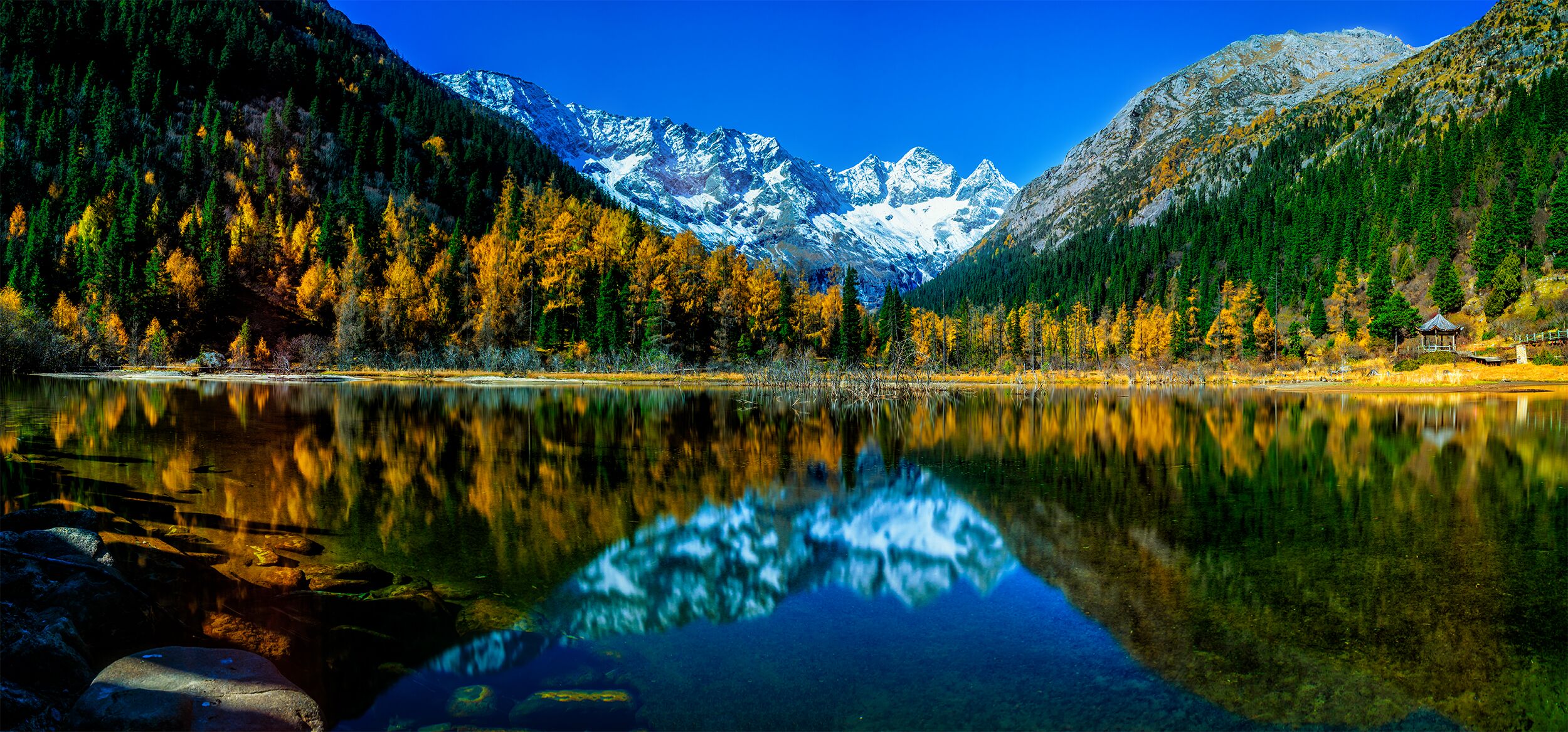 達古冰川一角。阿壩州委網信辦供圖