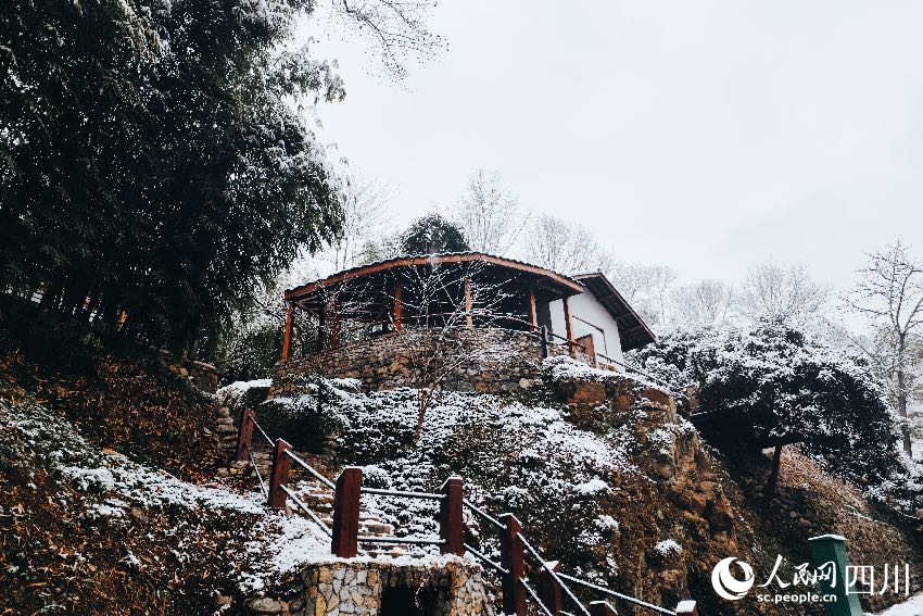 “方塘·林宿”隱匿在山林間。人民網 記者朱虹攝