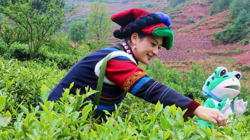 采茶體驗。喜德縣委組織部供圖