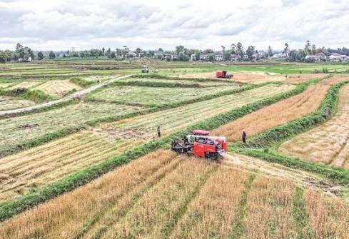機聲隆隆麥收忙