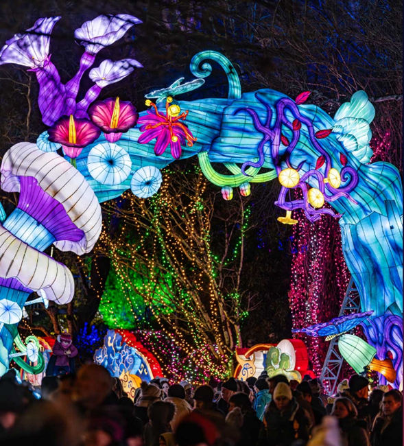 法國蒙托邦中國彩燈節現場。燈彩集團供圖