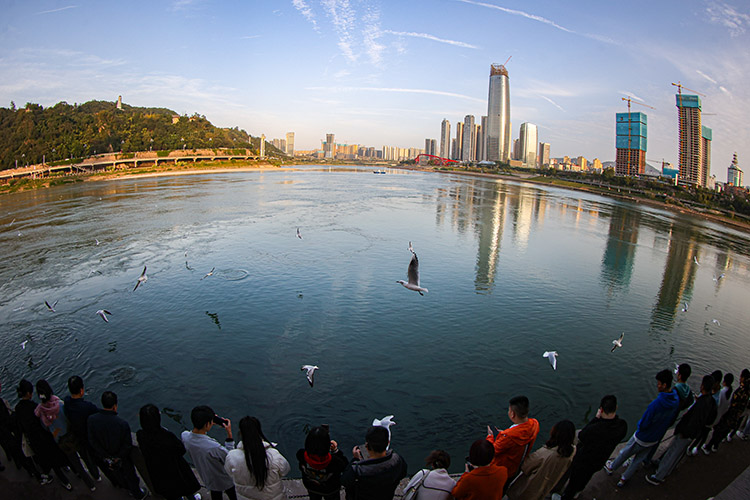 合江門。翠屏區融媒體中心供圖