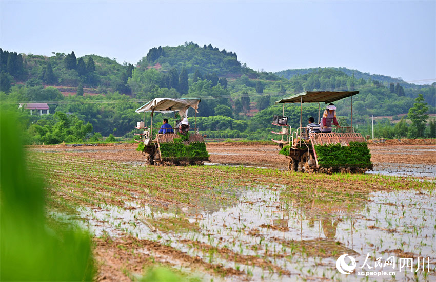 土地做賽場，恐后又爭先。人民網記者 劉海天攝