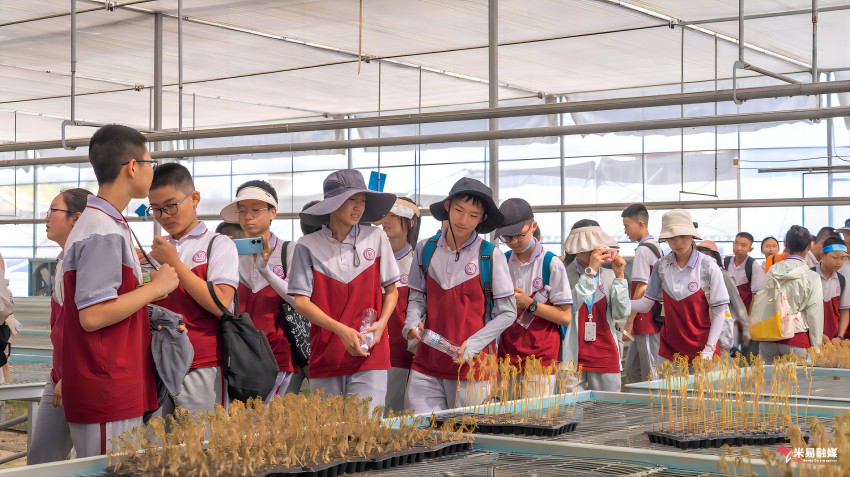 舉辦青少年公益夏令營活動。米易縣委宣傳部供圖