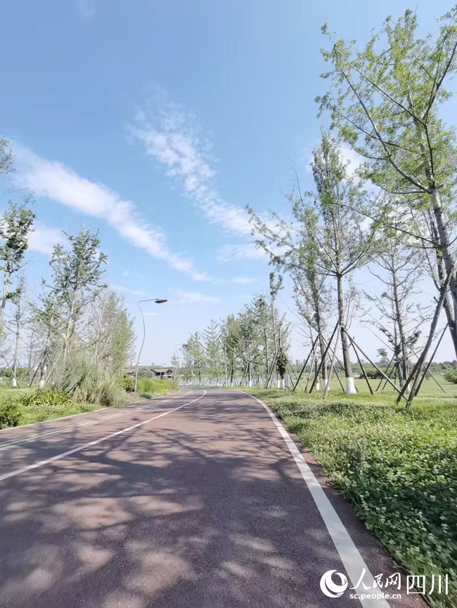 成都綠道一角。人民網 羅昱攝